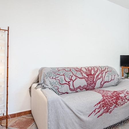 Holiday House Li Piri Сан Теодоро Екстериор снимка